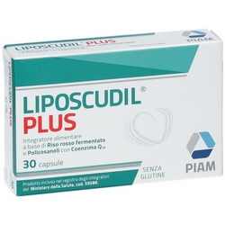 Liposcudil Plus Capsule 14,5g