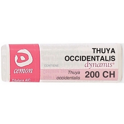 Thuya Occidentalis 200CH Globules CeMON