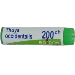 Thuya Occidentalis 200CH Globules